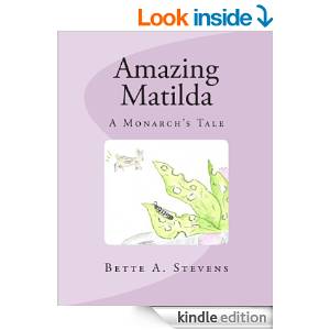 AM Look Inside Cover