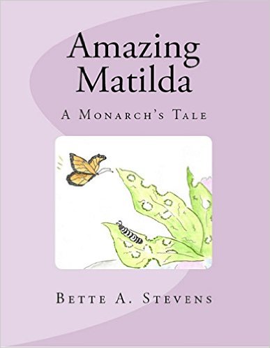 AM Look Inside NEW 2015