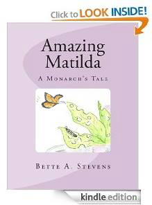 AM Look Inside NEW 2015