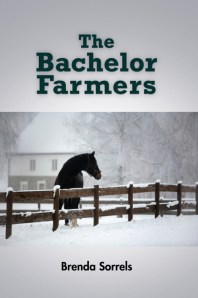 Back Cover text: The Bachelor Farmers takes us into a world where true meaning and healing are found in the complexity of human relationshps and in the choices that are made in th face of adversity