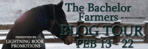 The-Bachelor-Farmers-Banner-Tour-2 (2)