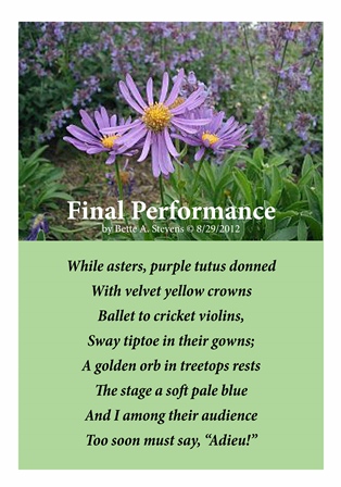 Final Performance SMALL