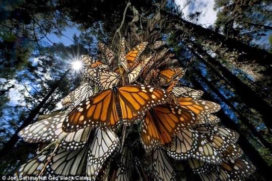 580890_292694764163370_1843993266_n