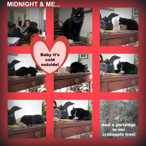 May your February be filled with love... ~ Bette A. Stevens