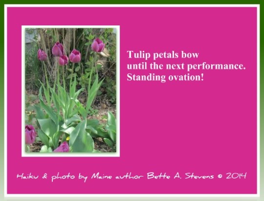 TULIP Haiku 2