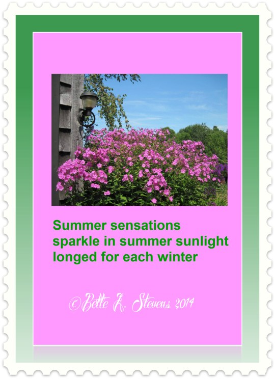 Summer Sensations HAIKU