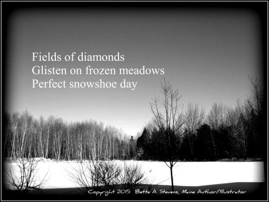 SNOWSHOE Haiku BW Boost bas 2015