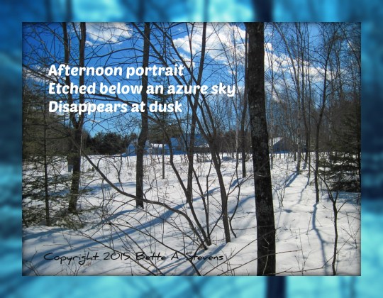 Afternoon Portrait HAIKU bas 2015