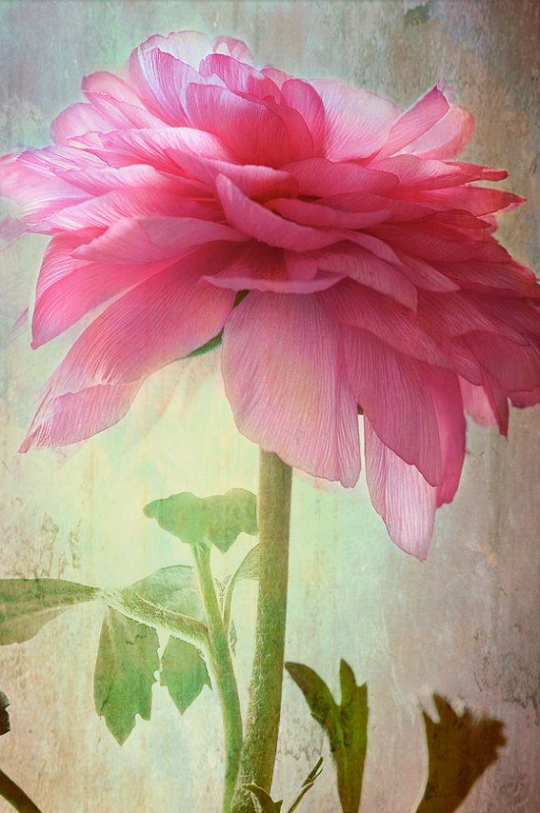 Screen shot 2015-03-26 at 8.27.33 PM