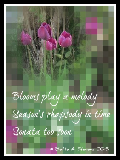 Blooms Season Rhapsody BAS 2015