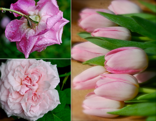 Screen shot 2015-04-08 at 4.41.58 PM