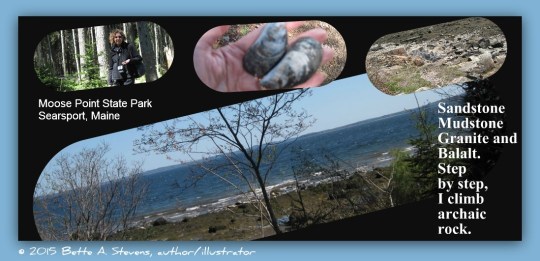 Moose Point & Poem 2015 bas