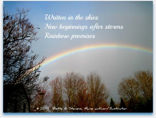Rainbow HAIKU bas 2015
