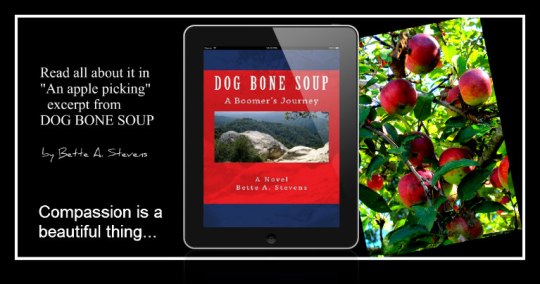 DBS Apple Picking Excerpt bas