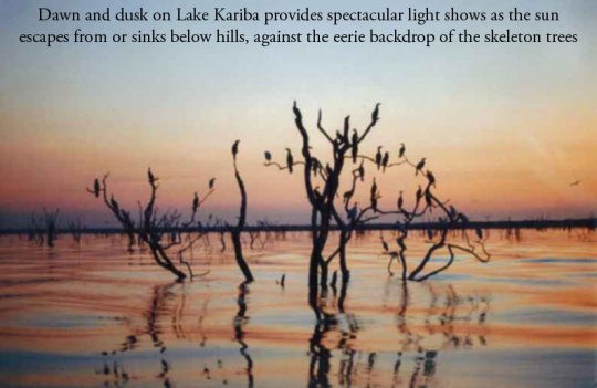 kariba photo for Jan Hawke