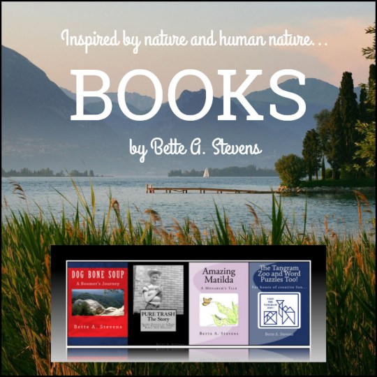 Inspired by nature BAS Dec 2015