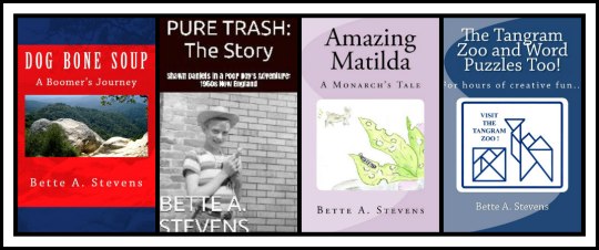 4Books BW Border BAS