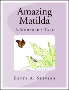 AM cover with Monarch