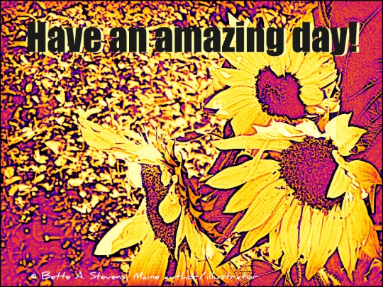 amazing-day-sunflower-art-bas-2016