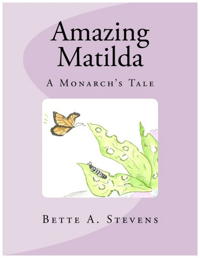 AM HighResolution WhiteBorder