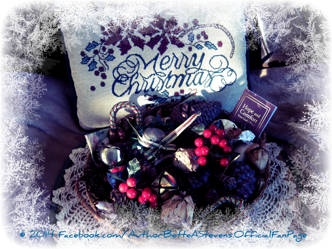 Merry Christmas bas FanPage