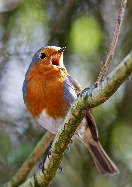 Screen Shot 2016-01-22 at 7.52.54 PM.png