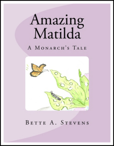 AM HighResolution BW Border