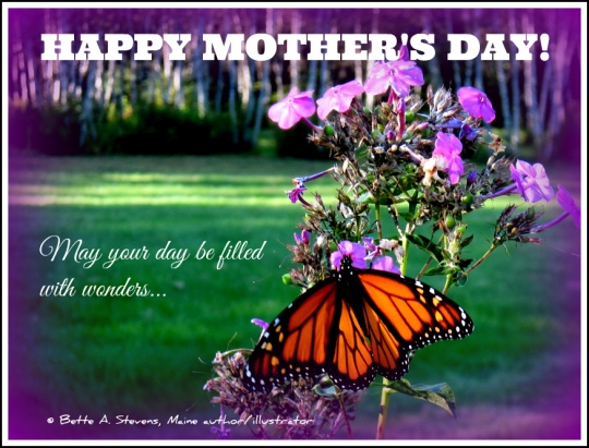 MOTHERS DAY 2016 Butterfly bas