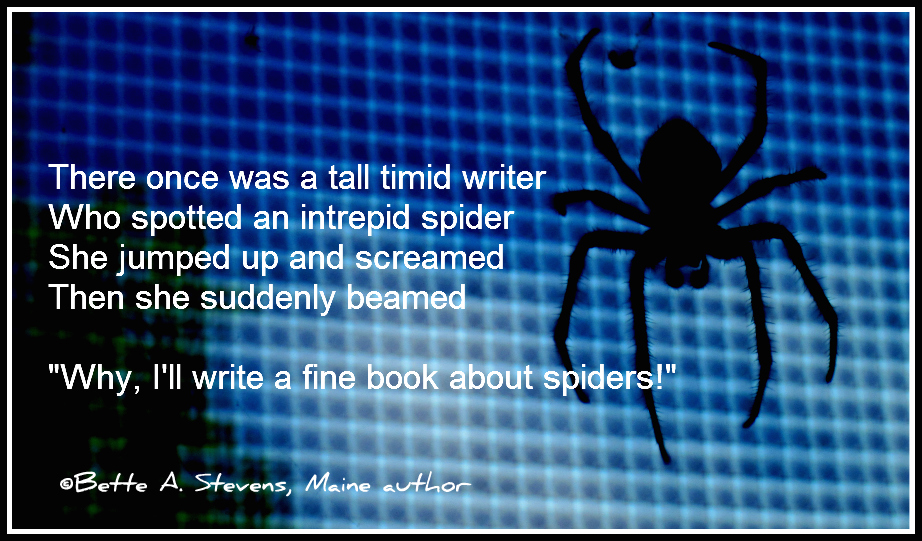 SPIDER Limerick 3 BAS 2016