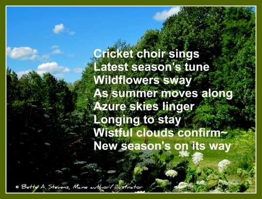 Wildflowers & cricket poem 4 blog BAS 2016