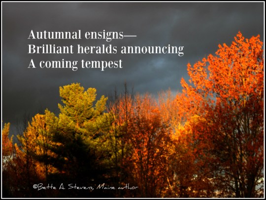 Photo and Haiku by Bette A. Stevens 