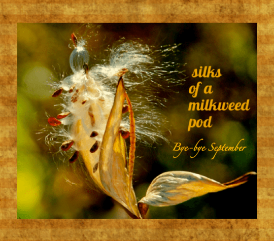 Screen Shot 2016-09-30 at 8.32.29 PM.png