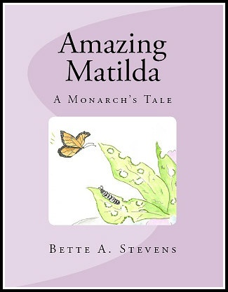 am-front-cover-bw-border2015