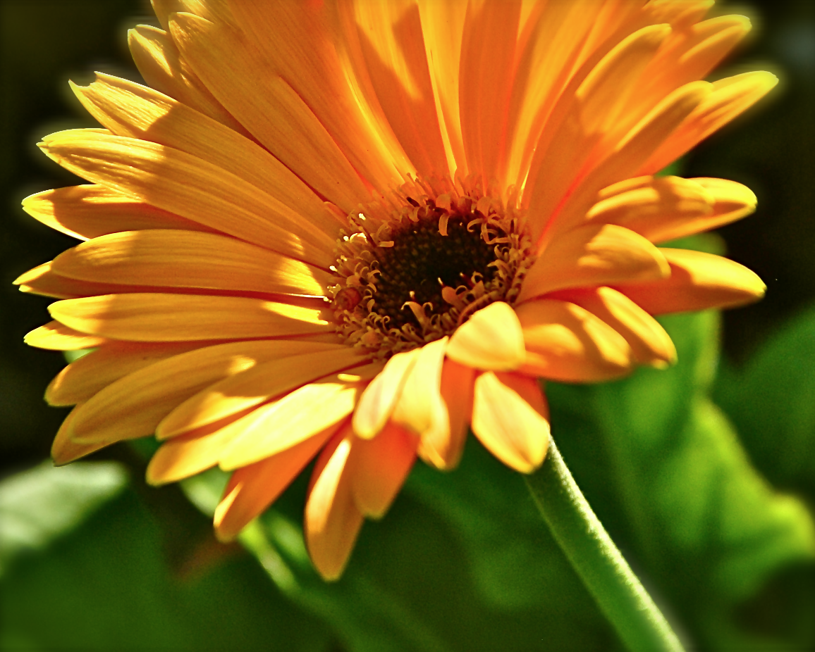 Screen Shot 2016-11-11 at 6.20.35 PM.png