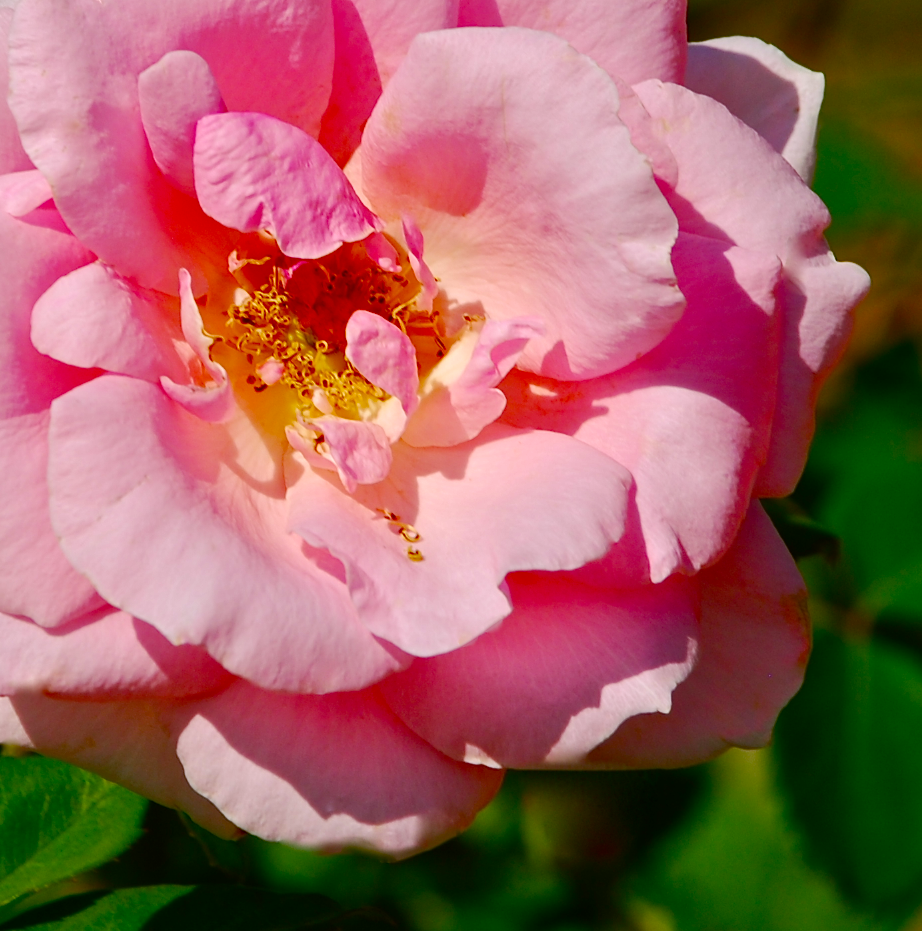 Screen Shot 2016-11-11 at 6.57.58 PM.png