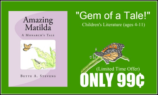 am-limited-time-offer-bas-2016