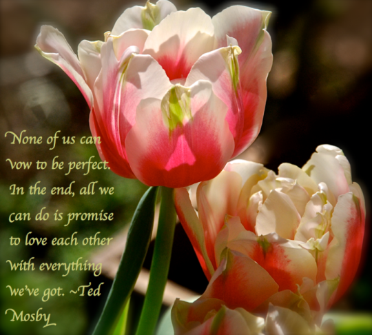 Screen Shot 2017-03-04 at 8.34.33 PM.png