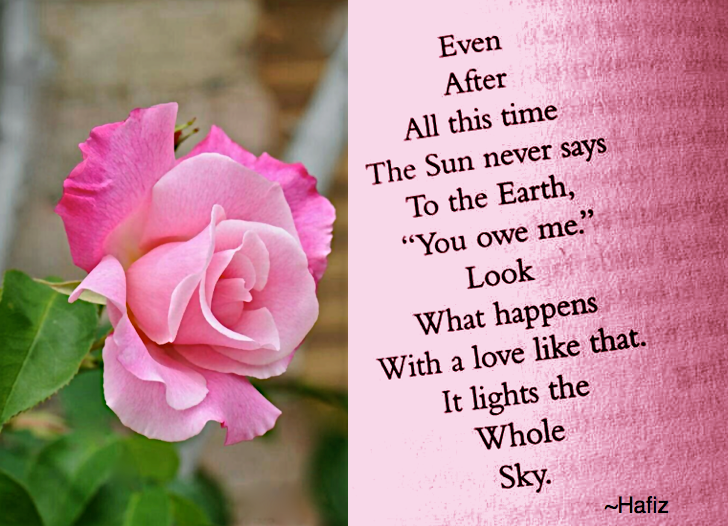 Screen Shot 2017-06-11 at 10.53.14 PM.png