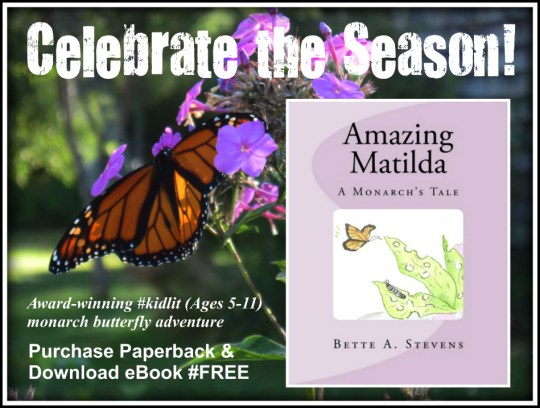 AM Celebrate Season MATCHBOOK bas 2016