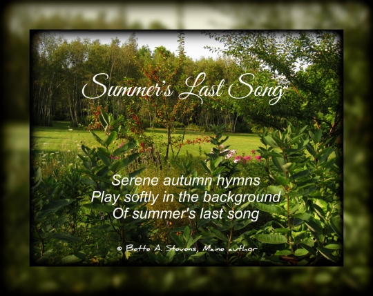 Summer’s Last Song—Haiku by Bette A. Stevens 