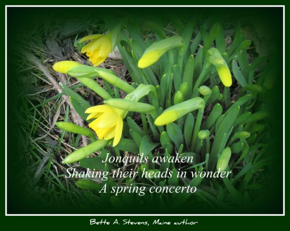 JONQUILS Awaken HAIKU 2017 bas