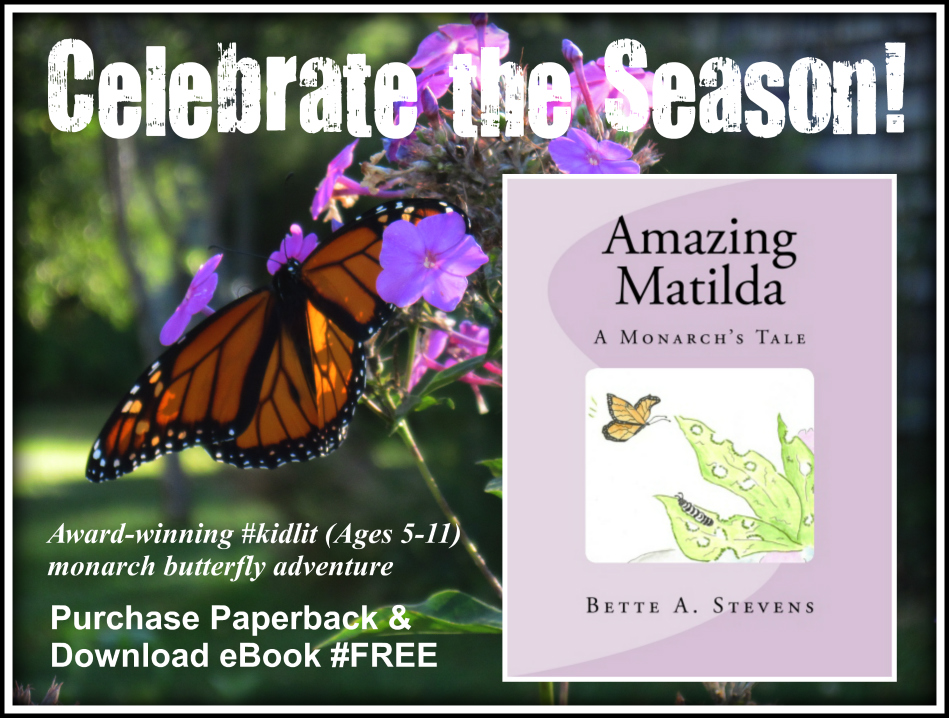 AM Celebrate Season MATCHBOOK bas 2016